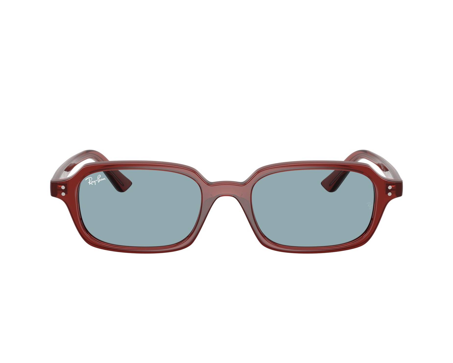 Ray-Ban RB4455 680980 49-19 braun  vue 360 degr&eacute;s 1