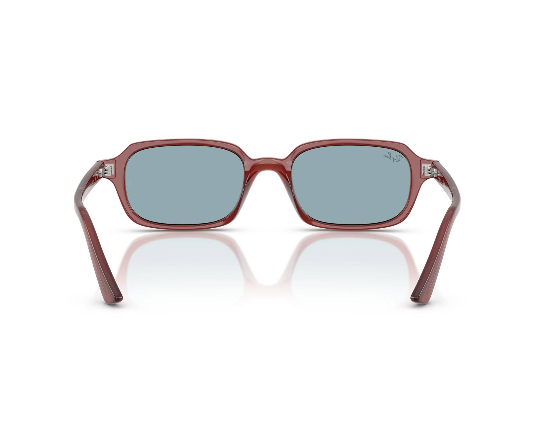 Ray-Ban RB4455 680980 49-19 braun  vue 360 degr&eacute;s 4