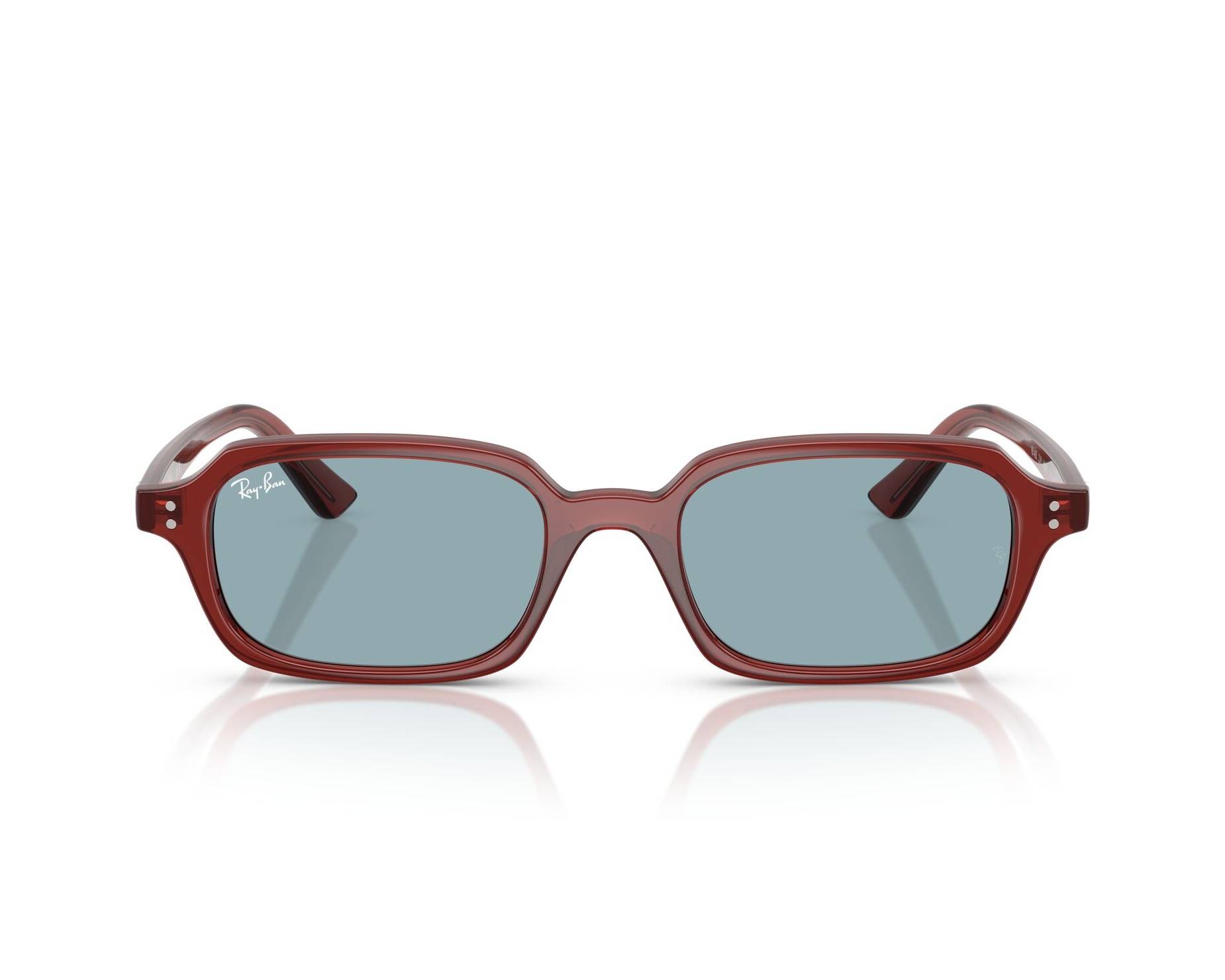 Ray-Ban RB4455 680980 49-19 braun  vue 360 degr&eacute;s 6