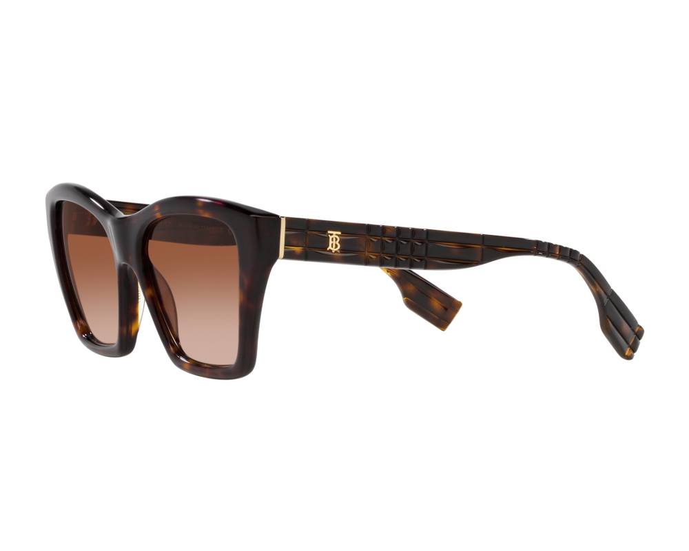 Burberry Burberry BE4391 300213 54-17 Marron  vue 360 degrés 4