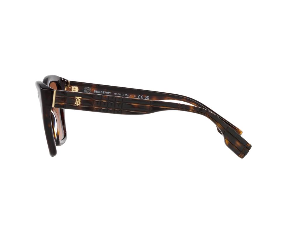 Burberry Burberry BE4391 300213 54-17 Marron  vue 360 degrés 5