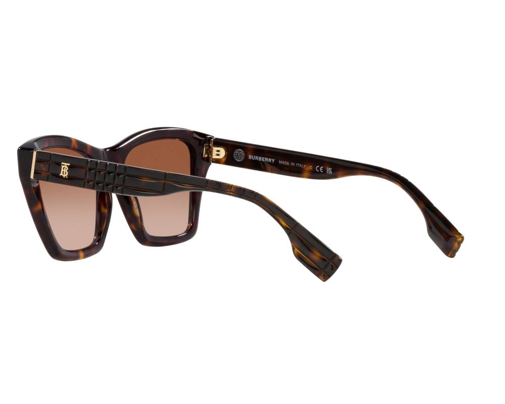 Burberry Burberry BE4391 300213 54-17 Marron  vue 360 degrés 6