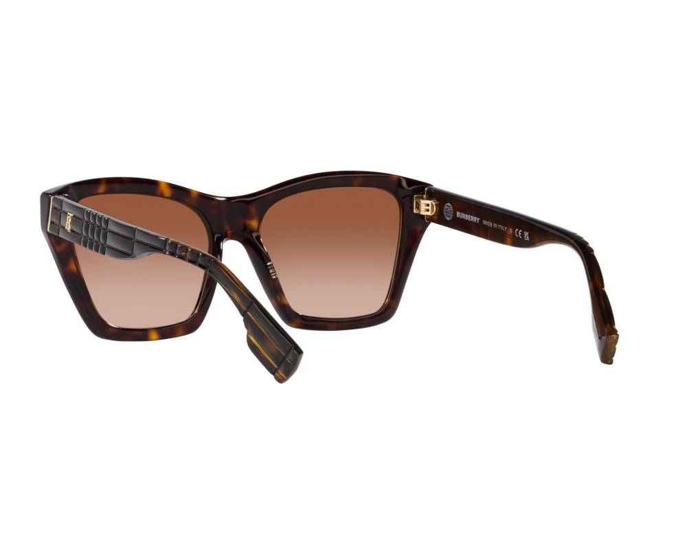 Burberry Burberry BE4391 300213 54-17 Brown  vue 360 degrés 7