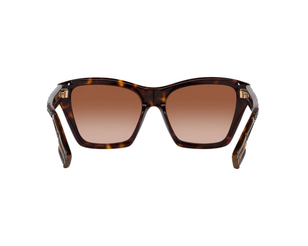 Burberry Burberry BE4391 300213 54-17 Marron  vue 360 degrés 8