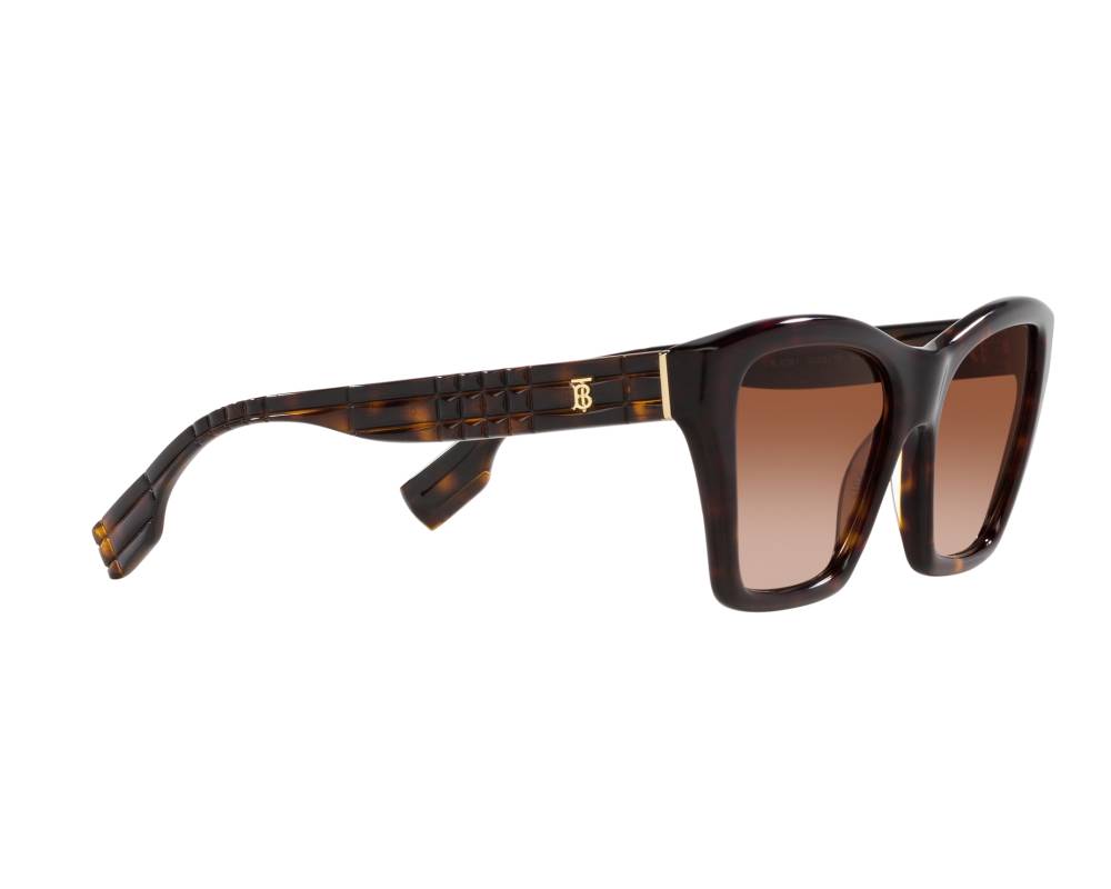 Burberry Burberry BE4391 300213 54-17 Marron  vue 360 degrés 12