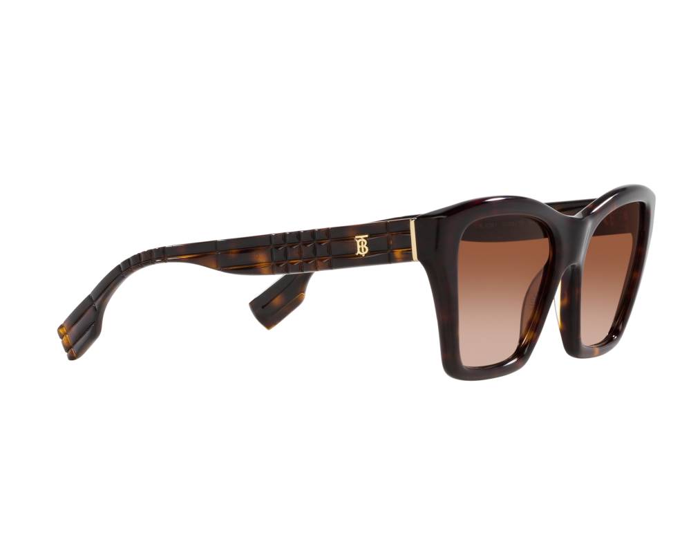 Burberry Burberry BE4391 300213 54-17 Brown  vue 360 degrés 12