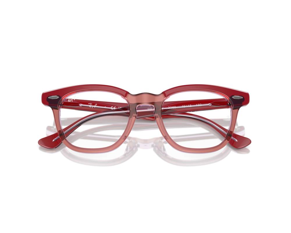 Ray-Ban Ray-Ban RY9098V 3960 45-18 Gris  vue 360 degrés 3