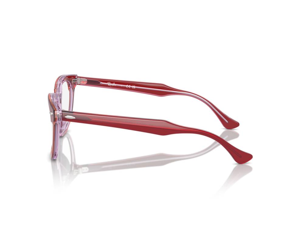 Ray-Ban Ray-Ban RY9098V 3960 45-18 Gris  vue 360 degrés 5