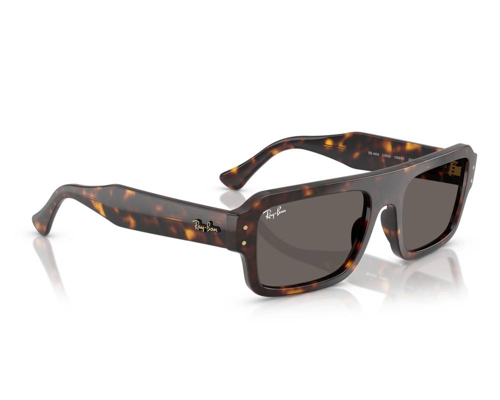 Ray-Ban Ray-Ban RB4454 1359B1 56-20 Havana  vue 360 degrés 2