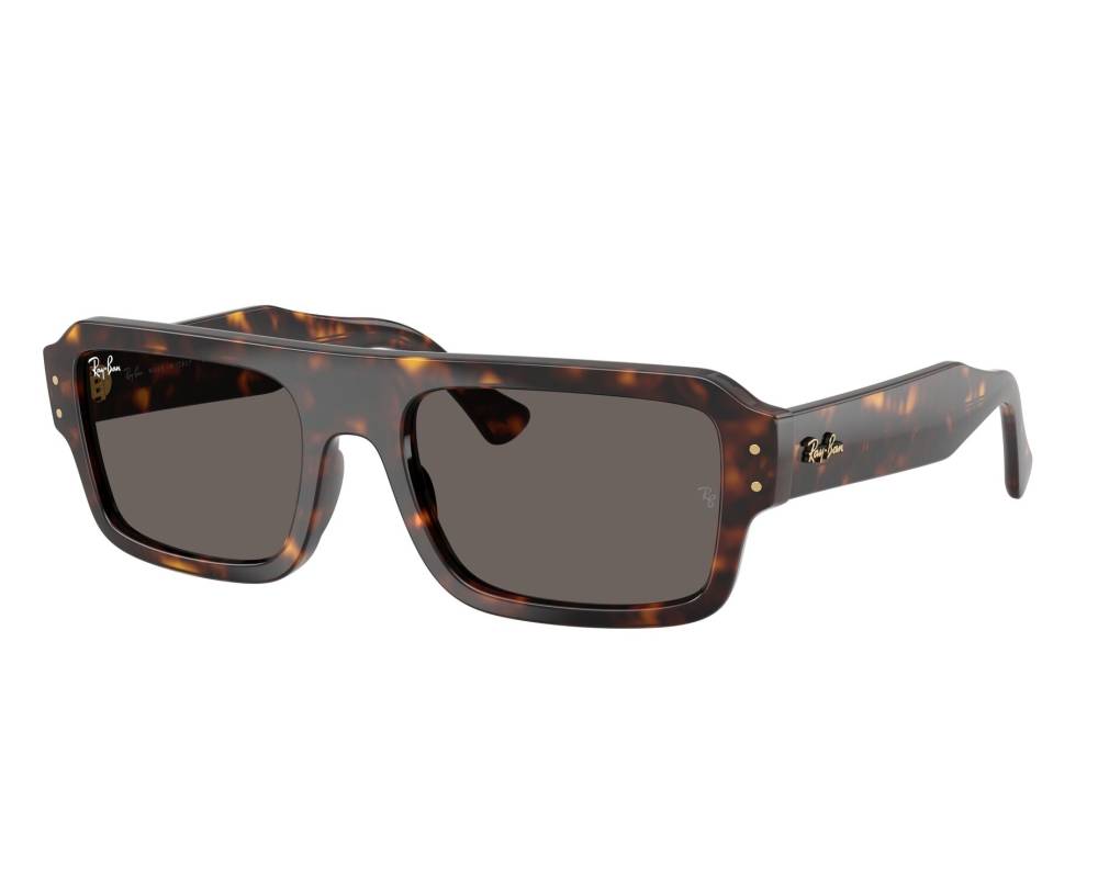 Ray-Ban Ray-Ban RB4454 1359B1 56-20 Havana  vue 360 degrés 8