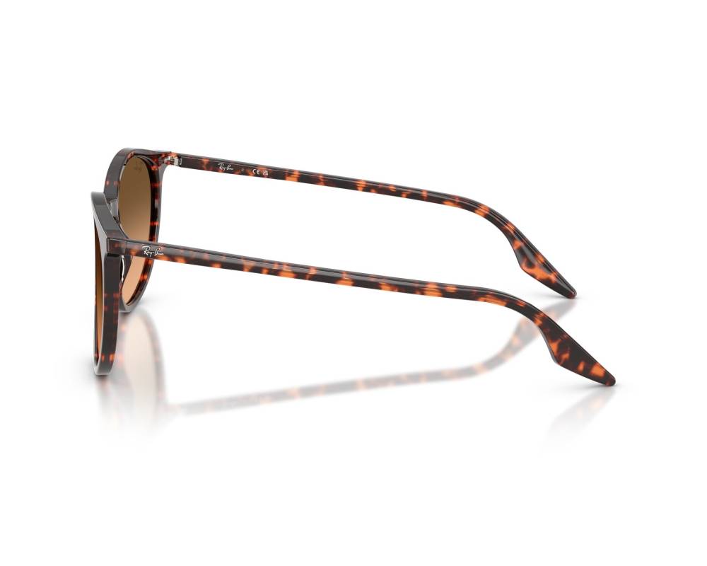 Ray-Ban Ray-Ban RB2204 14293B 51-20 Rouge  vue 360 degrés 1