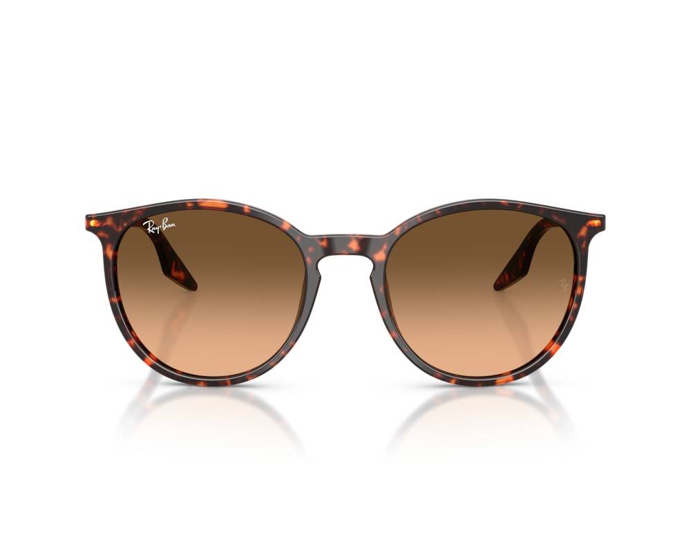 Ray-Ban Ray-Ban RB2204 14293B 51-20 Rouge  vue 360 degrés 3
