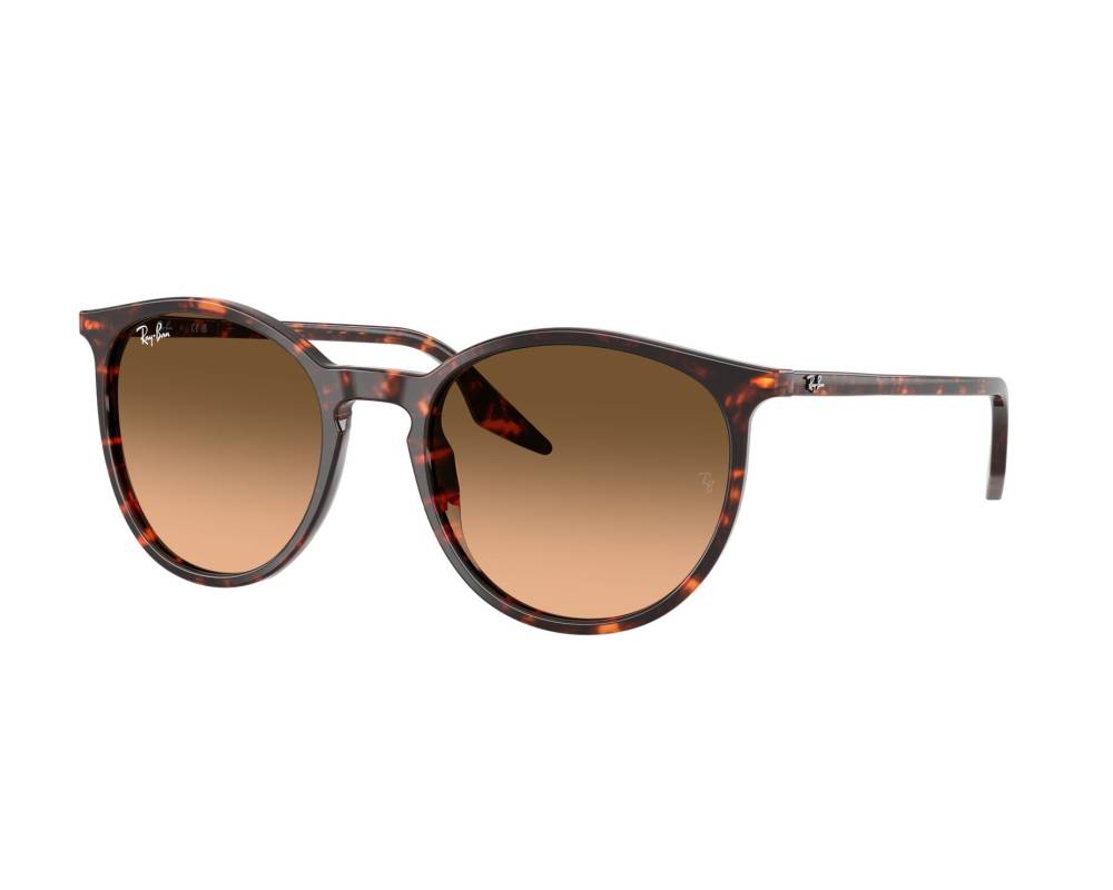 Ray-Ban Ray-Ban RB2204 14293B 51-20 Rouge  vue 360 degrés 4