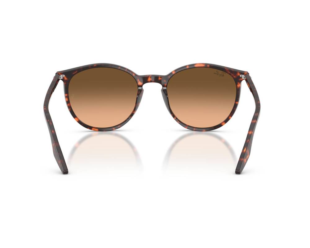 Ray-Ban Ray-Ban RB2204 14293B 51-20 Rouge  vue 360 degrés 5