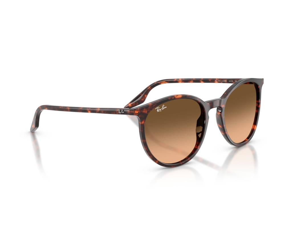 Ray-Ban Ray-Ban RB2204 14293B 51-20 Rouge  vue 360 degrés 6