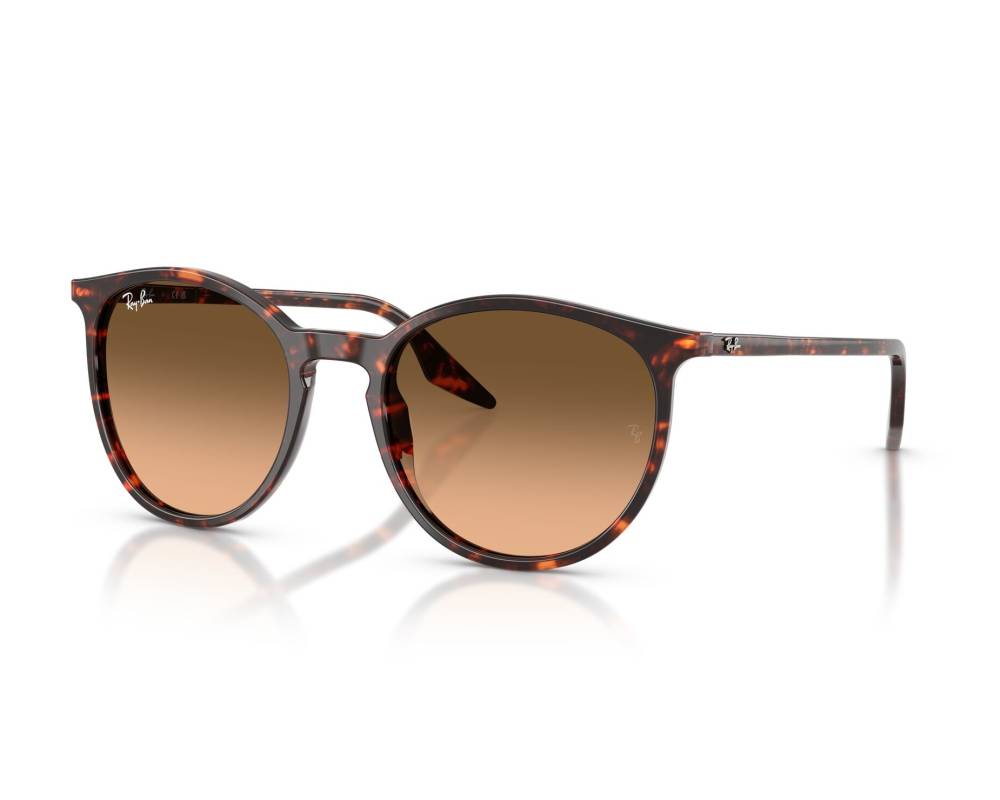 Ray-Ban Ray-Ban RB2204 14293B 51-20 Rouge  vue 360 degrés 7