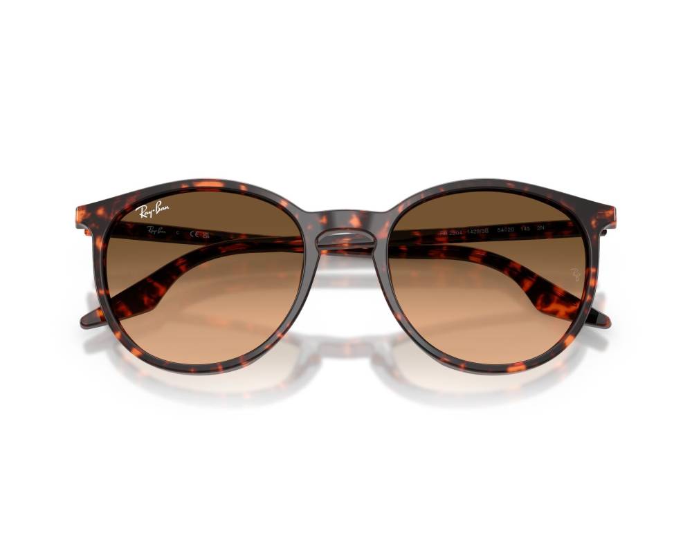 Ray-Ban Ray-Ban RB2204 14293B 51-20 Rouge  vue 360 degrés 8