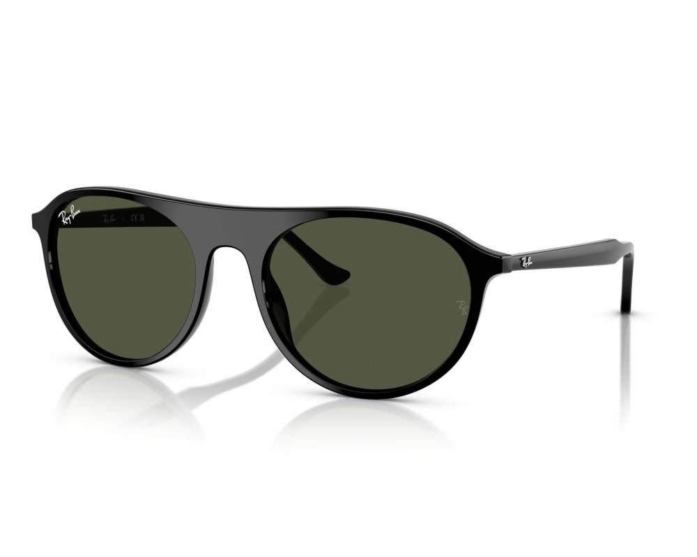 Ray-Ban Ray-Ban RB2215 901/31 59-20 Black  vue 360 degrés 5