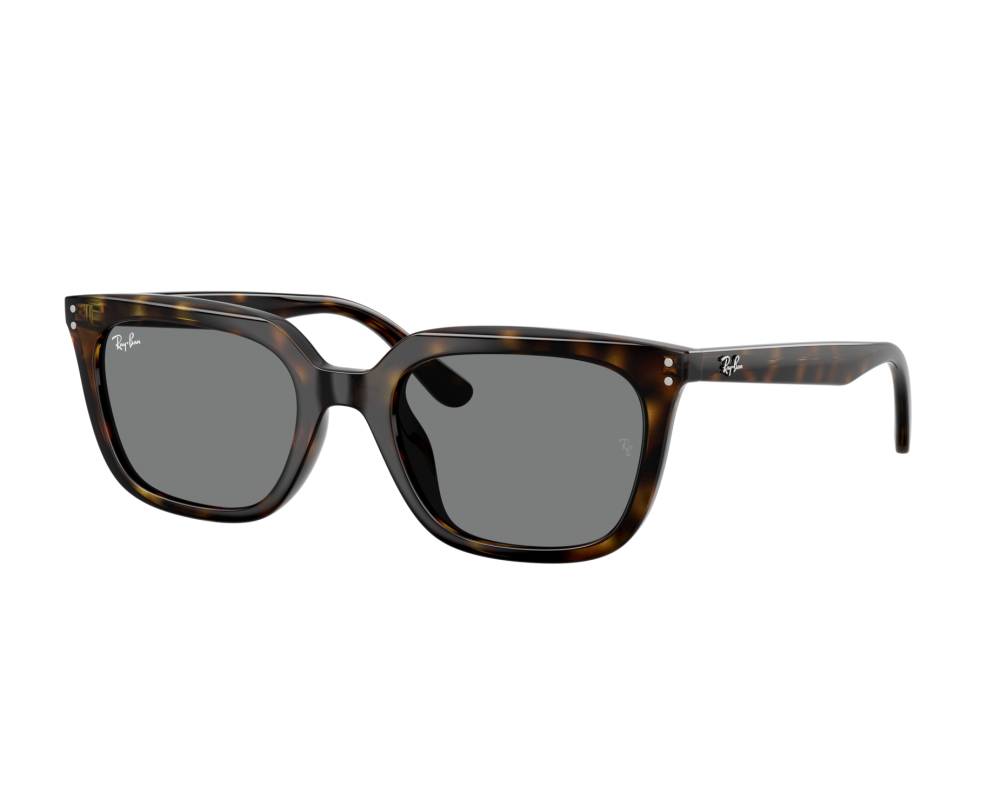 Ray-Ban Ray-Ban RB4439D 710/87 54-21 Havane  vue 360 degrés 1