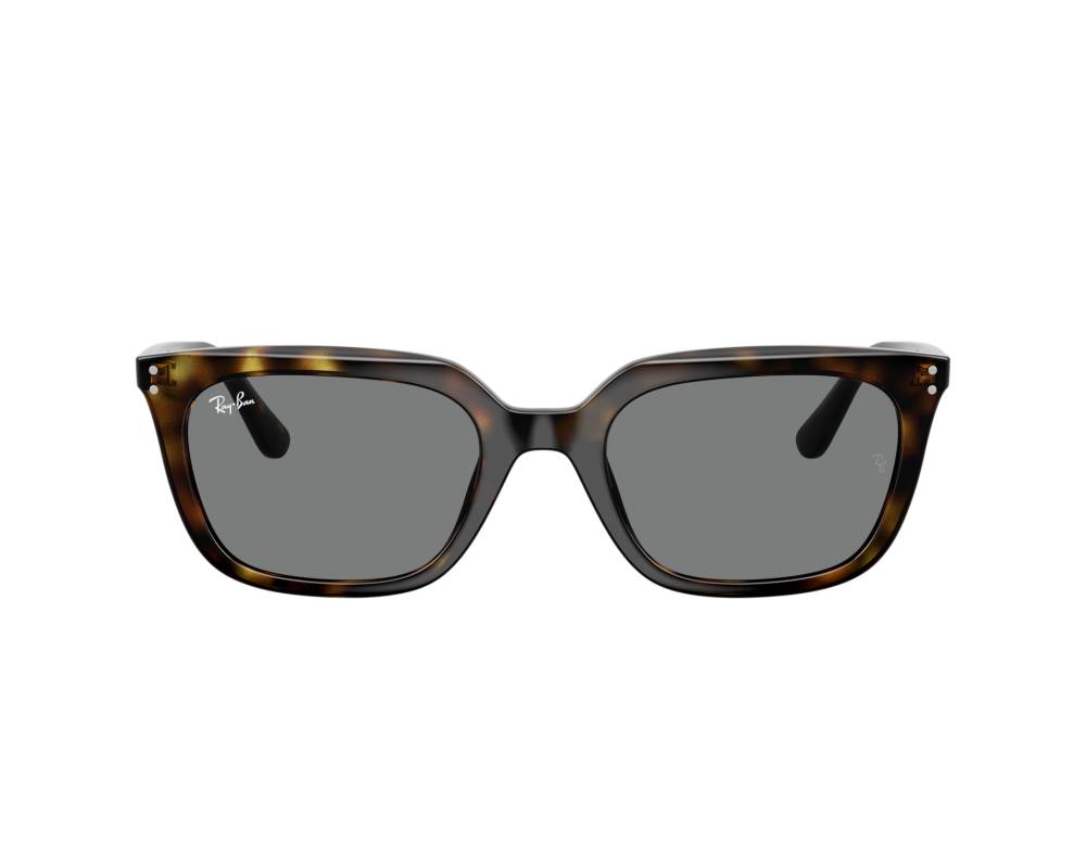 Ray-Ban Ray-Ban RB4439D 710/87 54-21 Havane  vue 360 degrés 2