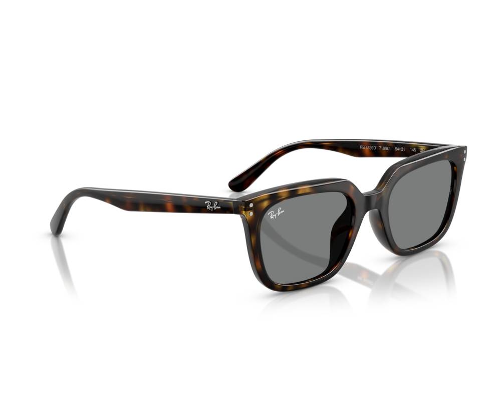 Ray-Ban Ray-Ban RB4439D 710/87 54-21 Havane  vue 360 degrés 3