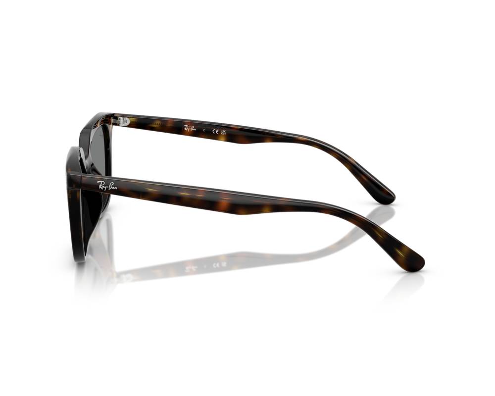 Ray-Ban Ray-Ban RB4439D 710/87 54-21 Havane  vue 360 degrés 4