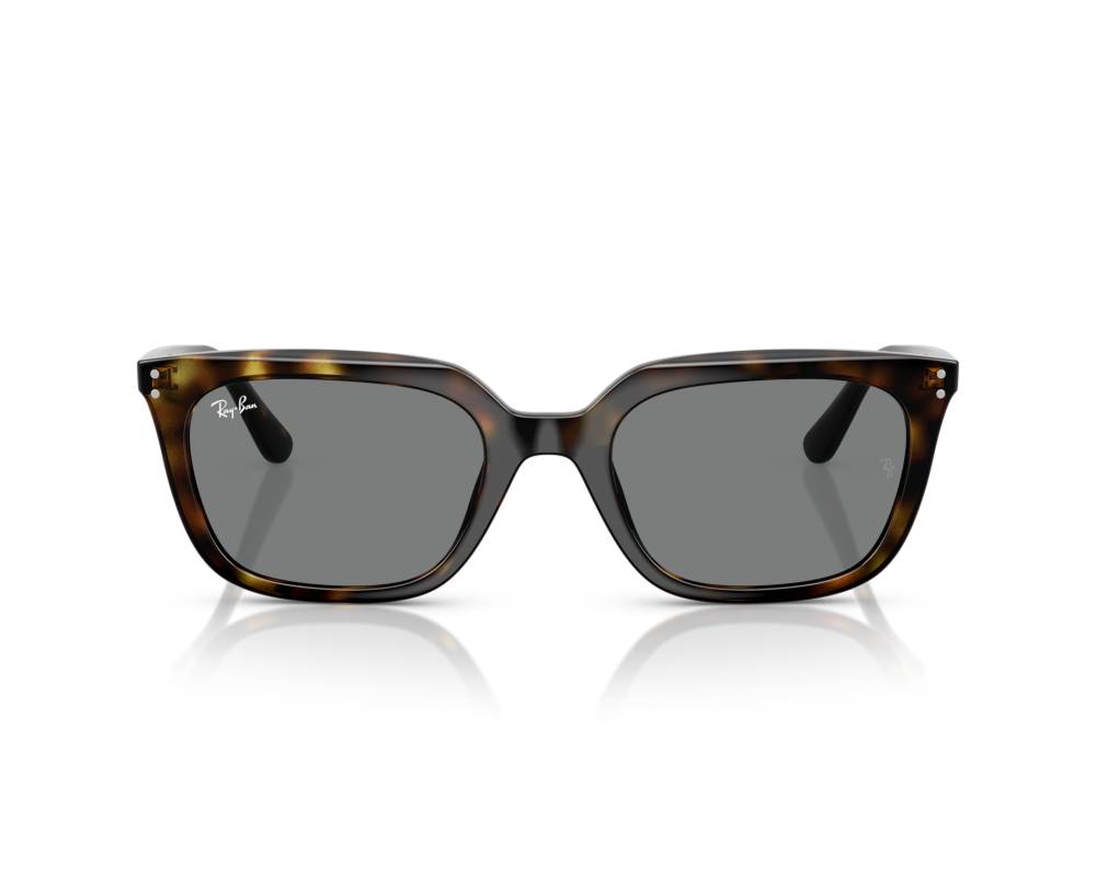 Ray-Ban Ray-Ban RB4439D 710/87 54-21 Havane  vue 360 degrés 6