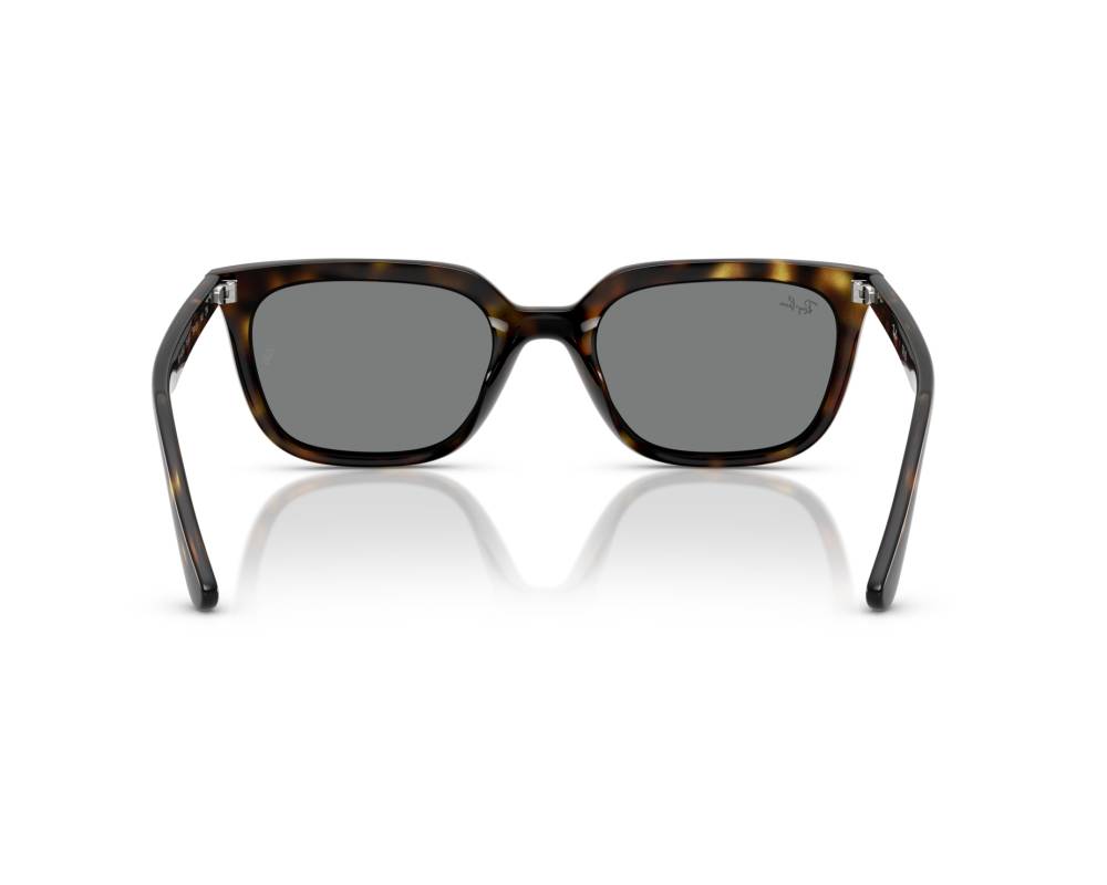 Ray-Ban Ray-Ban RB4439D 710/87 54-21 Havane  vue 360 degrés 7