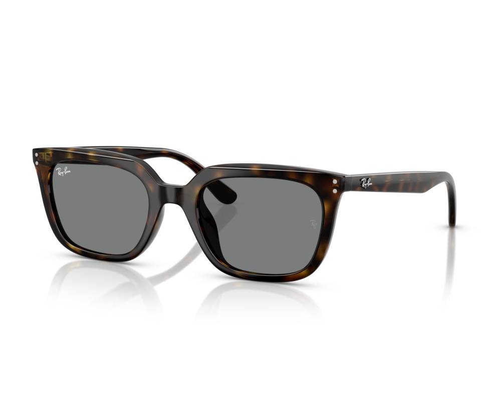 Ray-Ban Ray-Ban RB4439D 710/87 54-21 Havane  vue 360 degrés 8