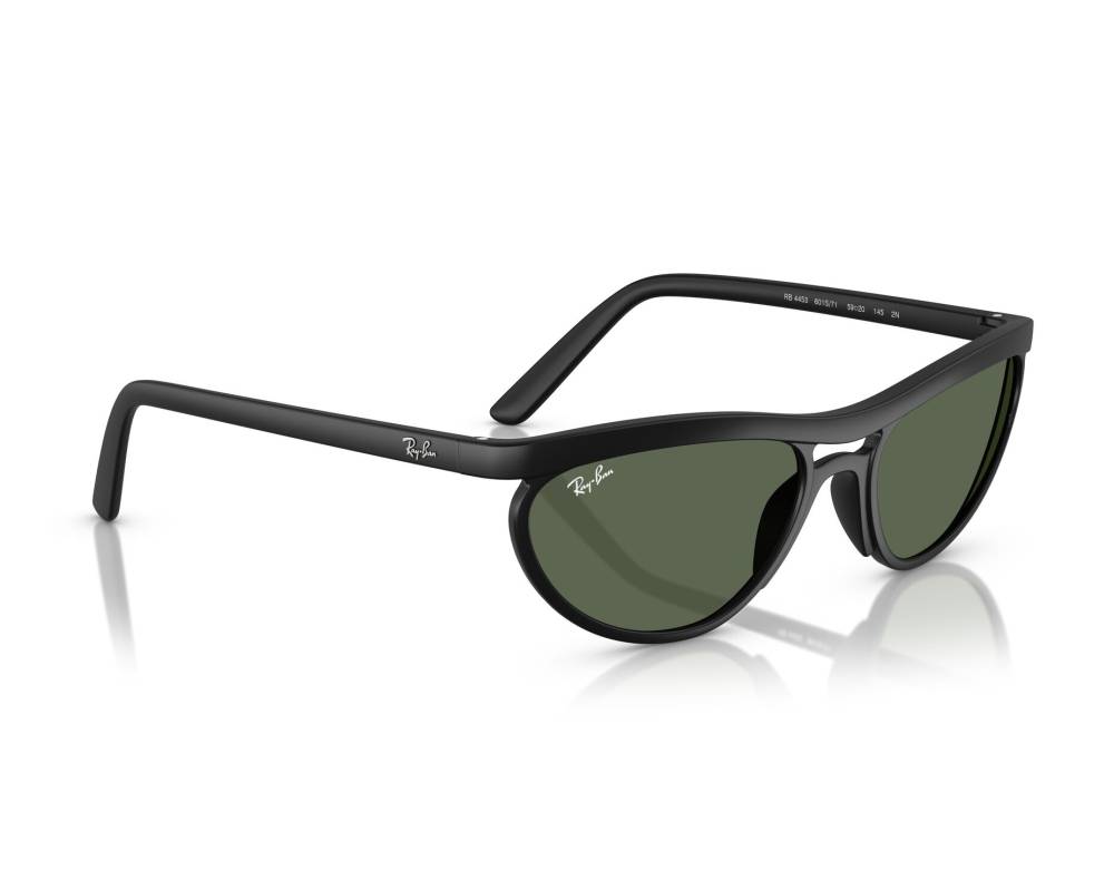 Ray-Ban Ray-Ban RB4453 601S71 59-20 Noir  vue 360 degrés 6