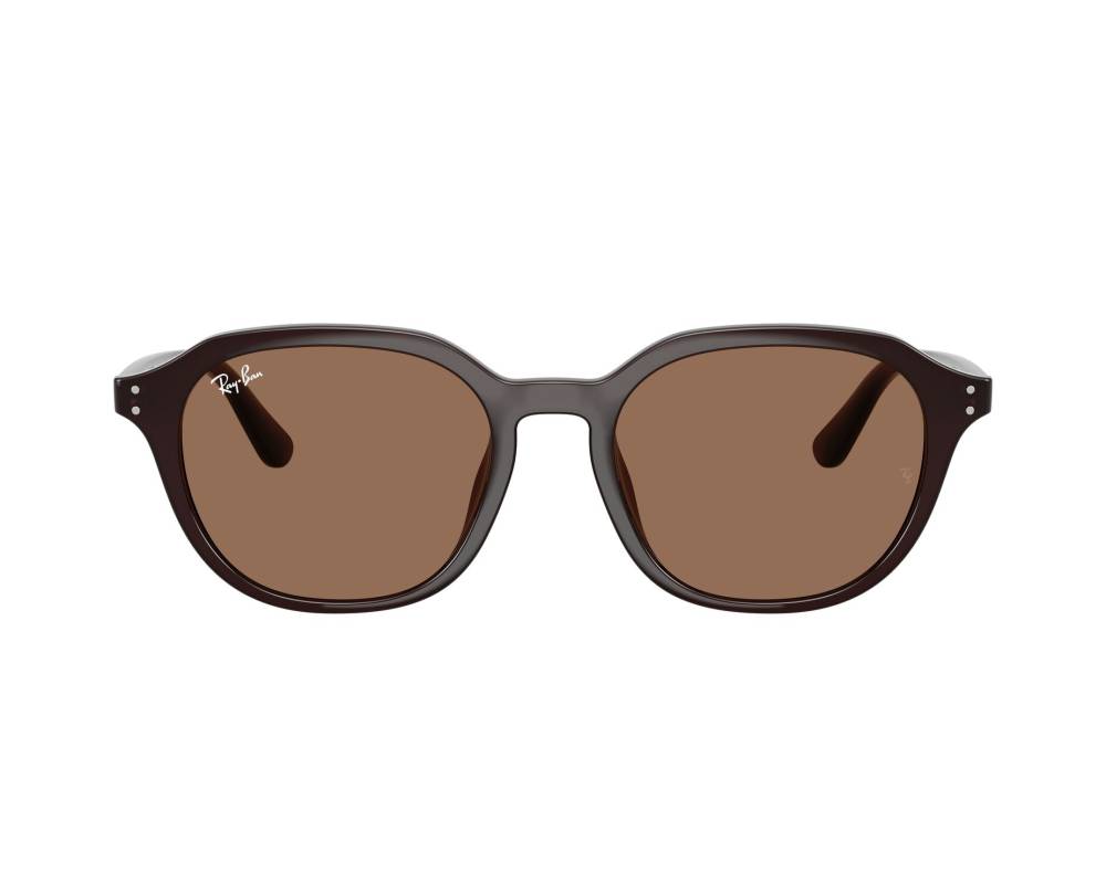 Ray-Ban Ray-Ban RB4459D 623173 54-19 Brown  vue 360 degrés 1