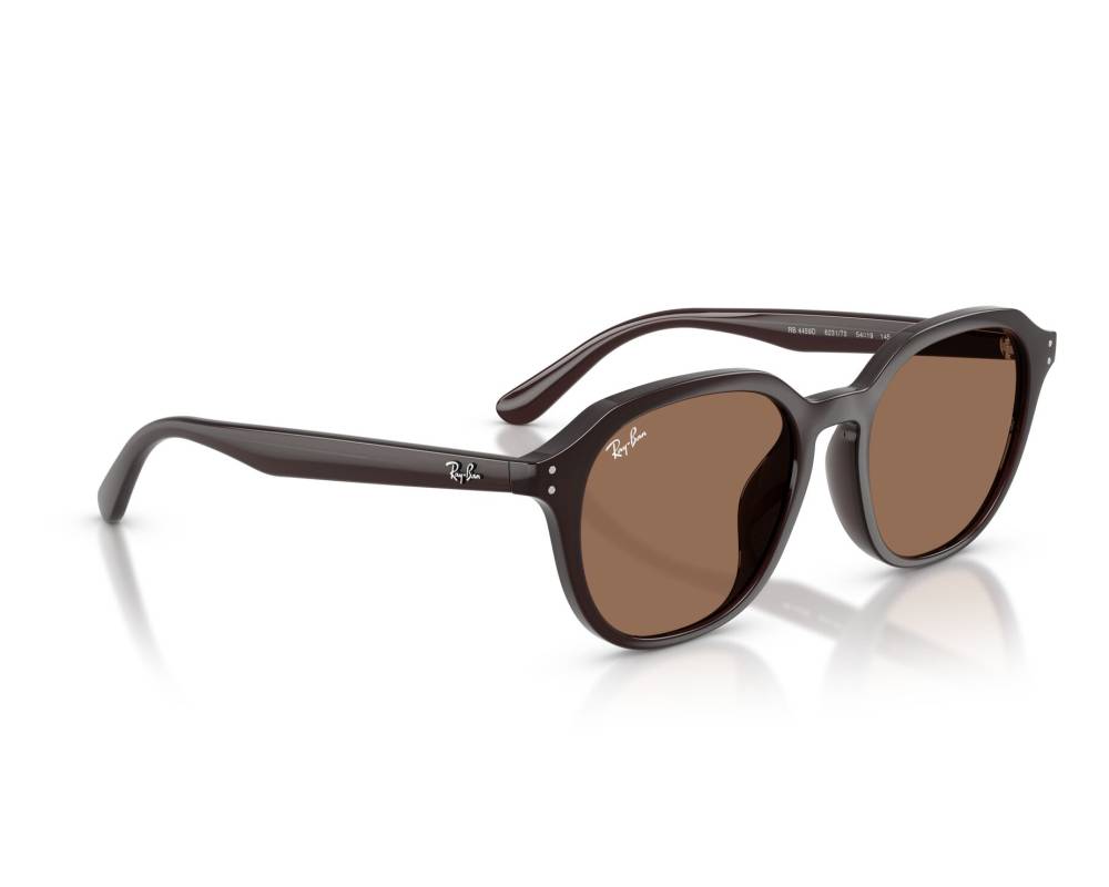 Ray-Ban Ray-Ban RB4459D 623173 54-19 Brown  vue 360 degrés 2