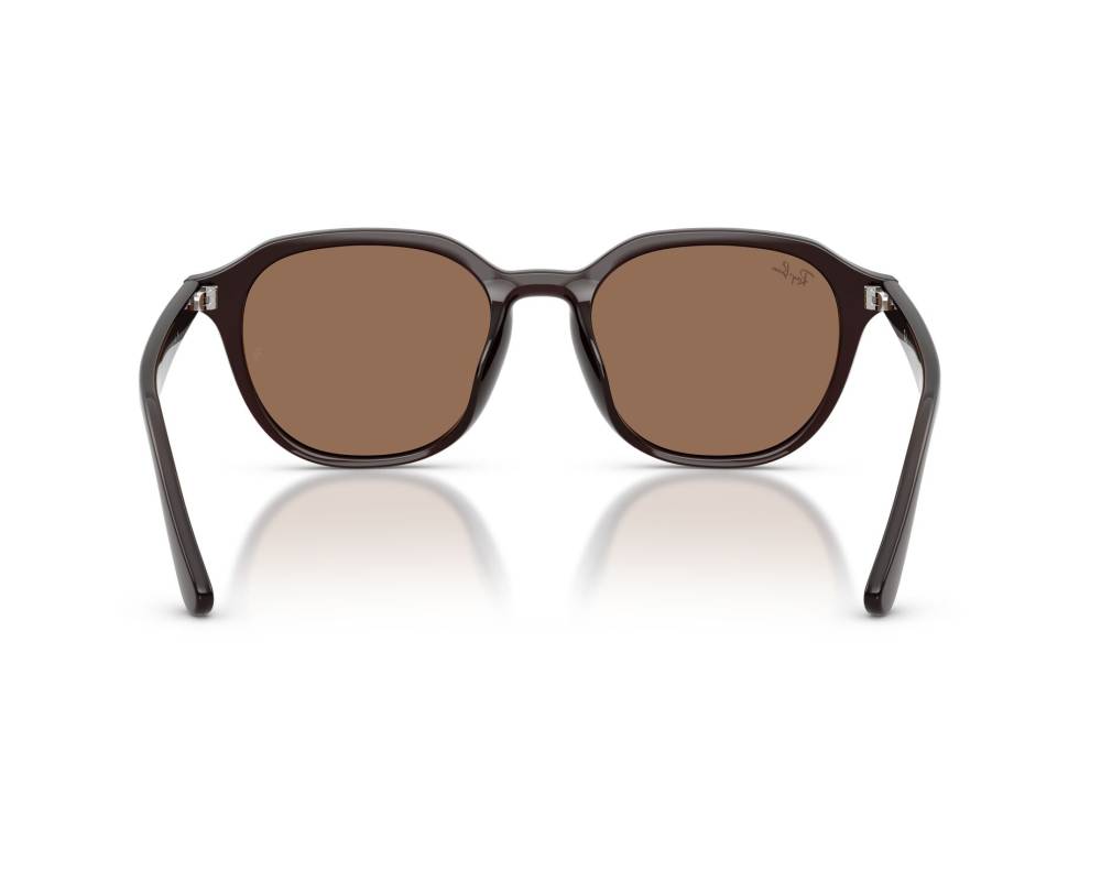 Ray-Ban Ray-Ban RB4459D 623173 54-19 Brown  vue 360 degrés 4