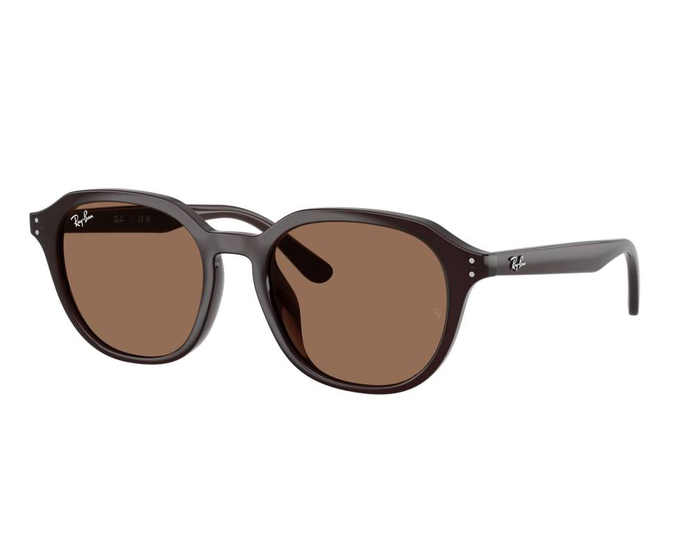 Ray-Ban Ray-Ban RB4459D 623173 54-19 Brown  vue 360 degrés 5
