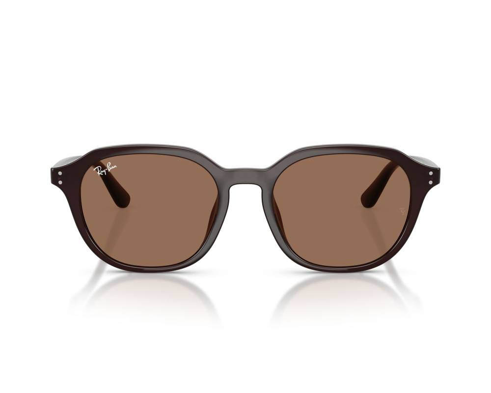 Ray-Ban Ray-Ban RB4459D 623173 54-19 Brown  vue 360 degrés 6