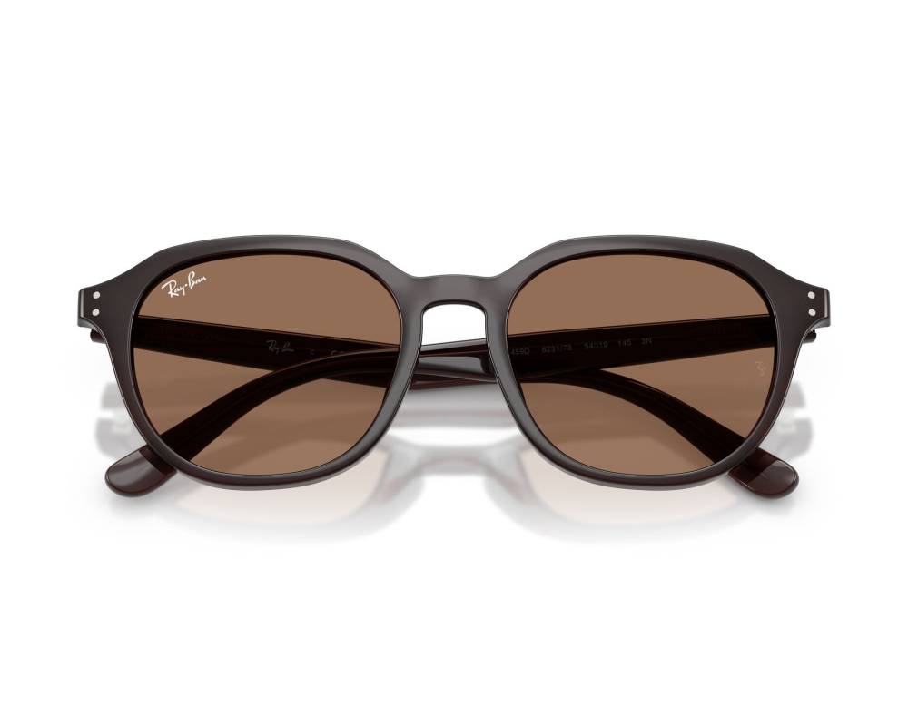 Ray-Ban Ray-Ban RB4459D 623173 54-19 Brown  vue 360 degrés 7
