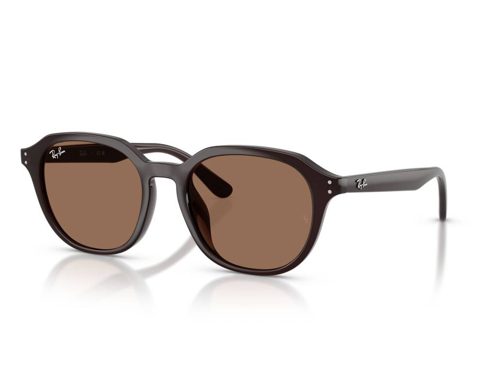 Ray-Ban Ray-Ban RB4459D 623173 54-19 Brown  vue 360 degrés 8