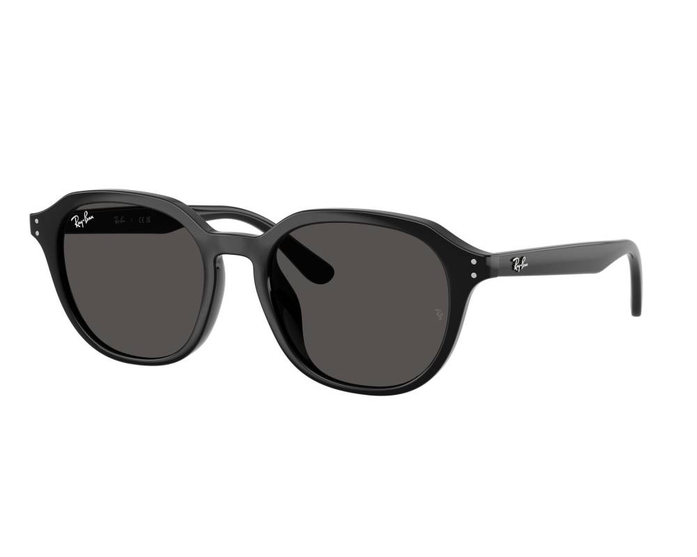 Ray-Ban Ray-Ban RB4459D 901/87 54-19 Noir  vue 360 degrés 2