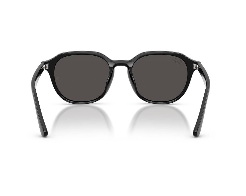 Ray-Ban Ray-Ban RB4459D 901/87 54-19 Noir  vue 360 degrés 4