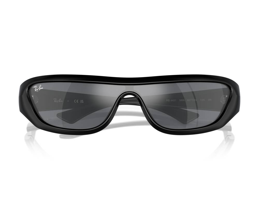 Ray-Ban Ray-Ban RB4431 66776V - Noir  vue 360 degrés 3