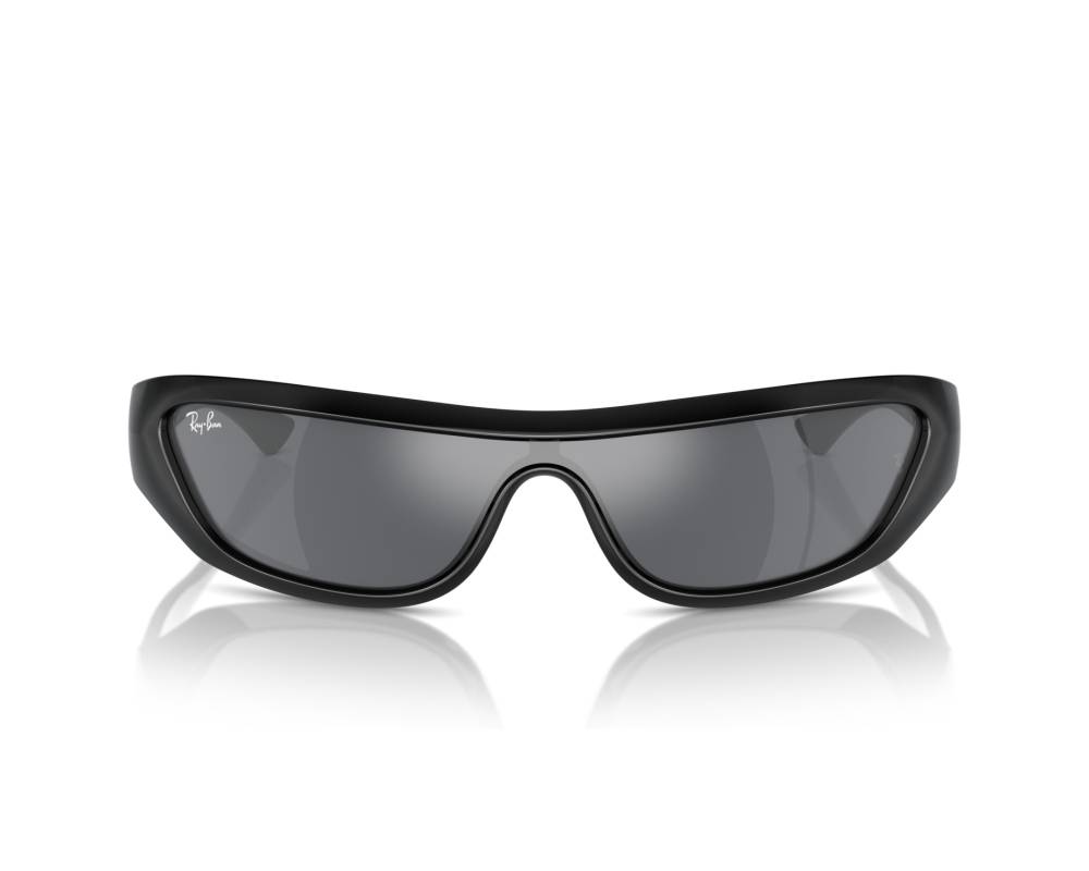 Ray-Ban Ray-Ban RB4431 66776V - Noir  vue 360 degrés 4