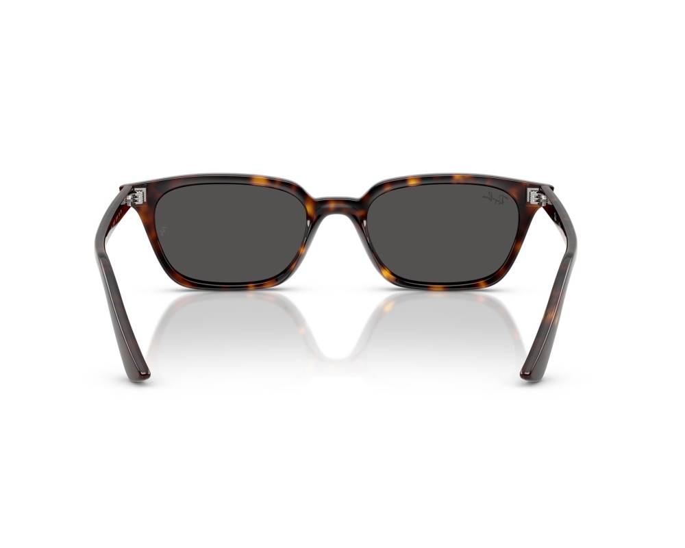 Ray-Ban Ray-Ban RB4456 135987 53-19 Havana  vue 360 degrés 1