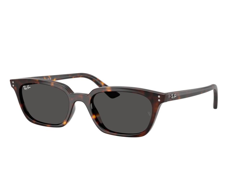 Ray-Ban Ray-Ban RB4456 135987 53-19 Havana  vue 360 degrés 3