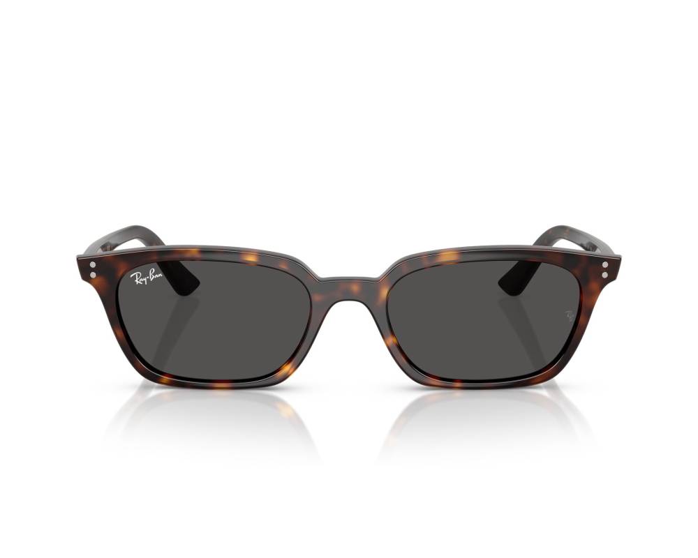 Ray-Ban Ray-Ban RB4456 135987 53-19 Havana  vue 360 degrés 5