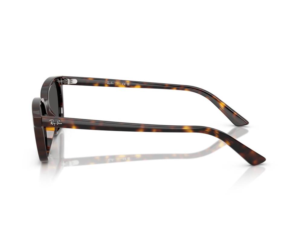 Ray-Ban Ray-Ban RB4456 135987 53-19 Havana  vue 360 degrés 6