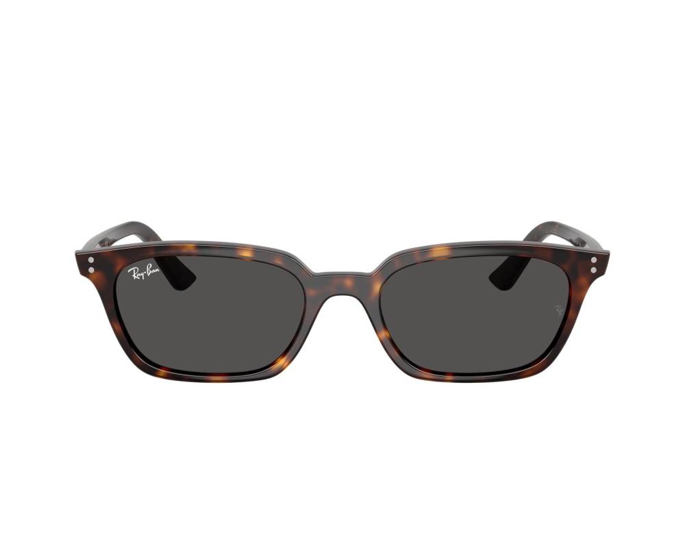 Ray-Ban Ray-Ban RB4456 135987 53-19 Havana  vue 360 degrés 7