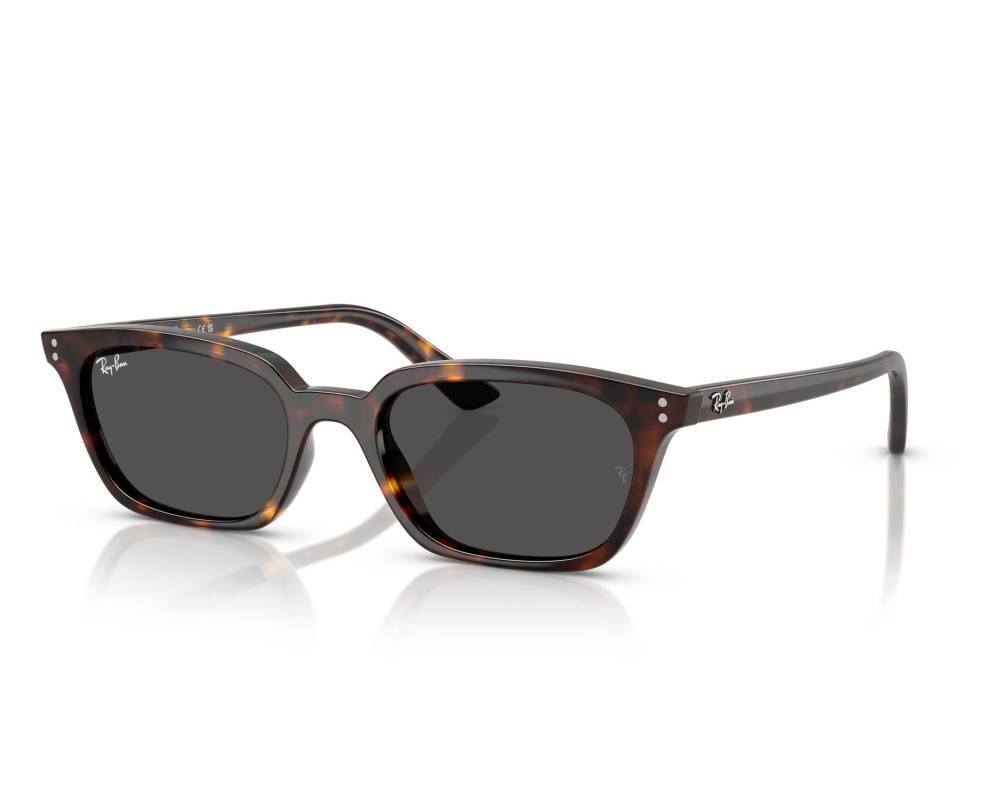 Ray-Ban Ray-Ban RB4456 135987 53-19 Havana  vue 360 degrés 8