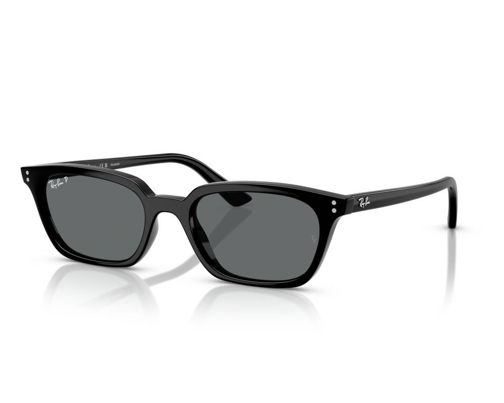 Ray-Ban Ray-Ban RB4456 667781 53-19 Noir  vue 360 degrés 8