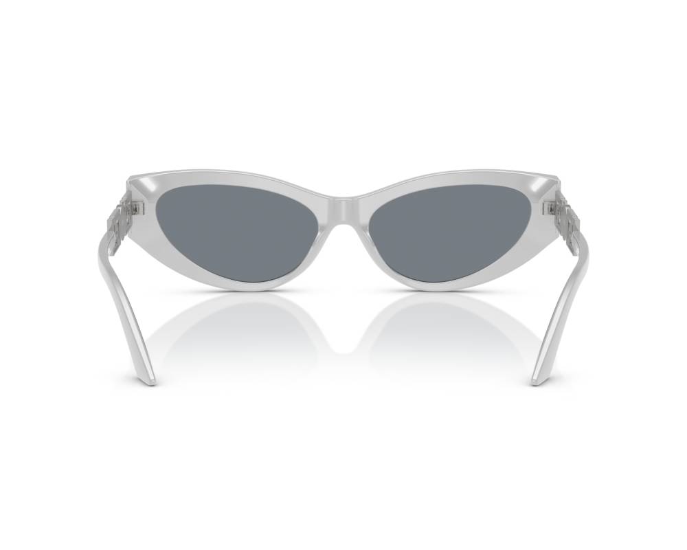 Versace Versace VE4470B 54741U 56-16 Gris  vue de profil
