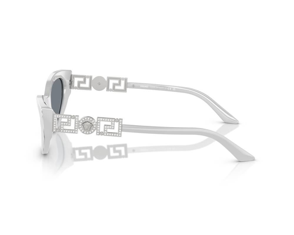 Versace Versace VE4470B 54741U 56-16 Gris  autre vue